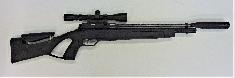 Gamo - P1030060 (2)
